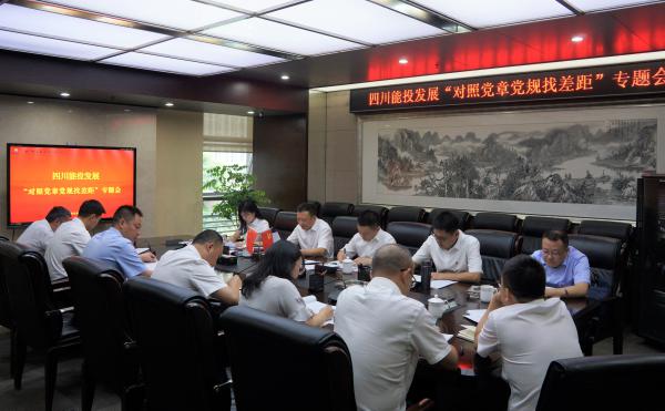 四川能投發(fā)展黨委召開“對(duì)照黨章黨規(guī)找差距”專題會(huì)